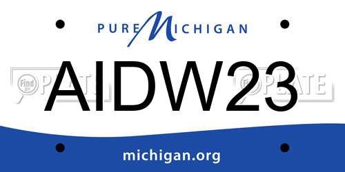 AIDW23 Michigan License Plate