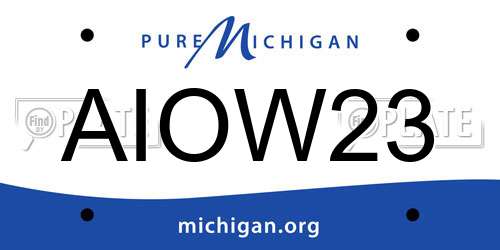 AIOW23 Michigan License Plate