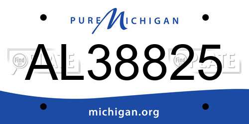 AL38825 Michigan License Plate