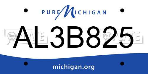 AL3B825 Michigan License Plate