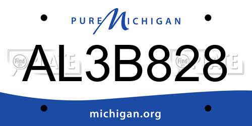 AL3B828 Michigan License Plate