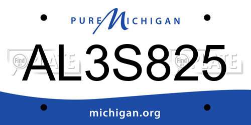 AL3S825 Michigan License Plate