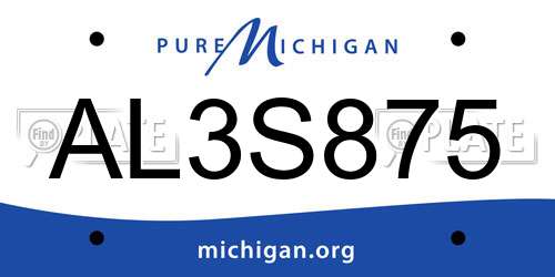 AL3S875 Michigan License Plate