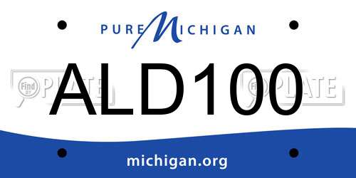 ALD100 Michigan License Plate