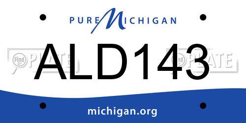 ALD143 Michigan License Plate