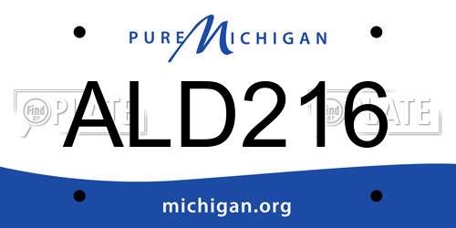 ALD216 Michigan License Plate