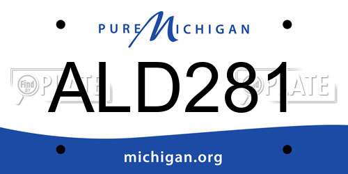 ALD281 Michigan License Plate