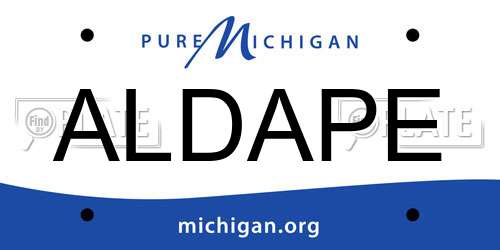 ALDAPE Michigan License Plate