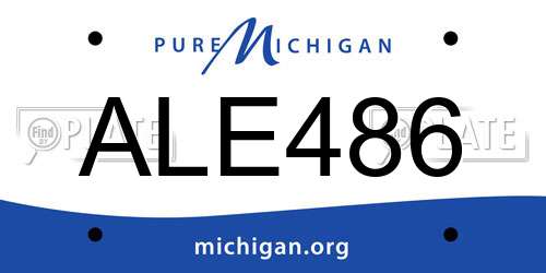 ALE486 Michigan License Plate