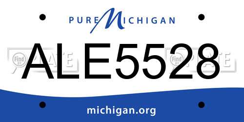 ALE5528 Michigan License Plate