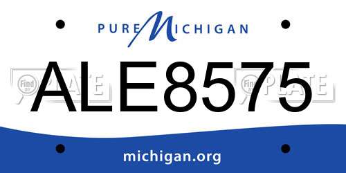 ALE8575 Michigan License Plate