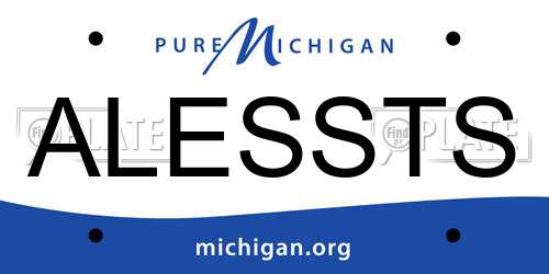 ALESSTS Michigan License Plate