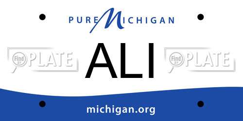 ALI Michigan License Plate