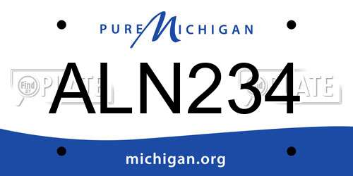 ALN234 Michigan License Plate