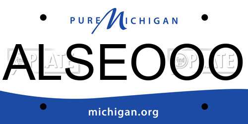 ALSEOOO Michigan License Plate