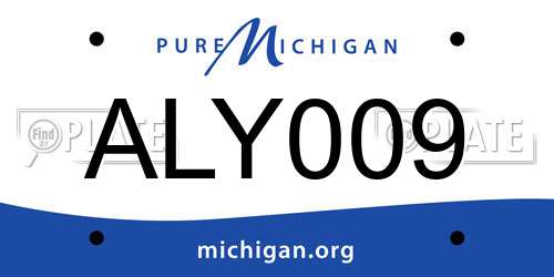 ALY009 Michigan License Plate