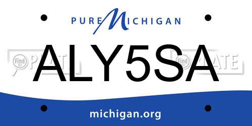 ALY5SA Michigan License Plate
