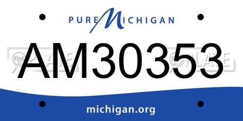 AM30353 Michigan License Plate