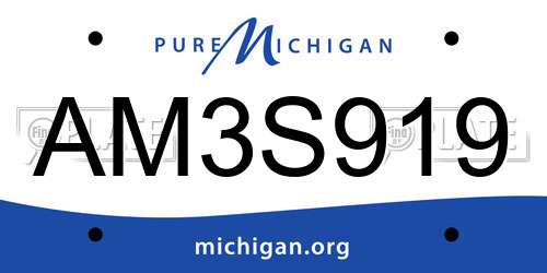 AM3S919 Michigan License Plate
