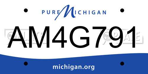 AM4G791 Michigan License Plate