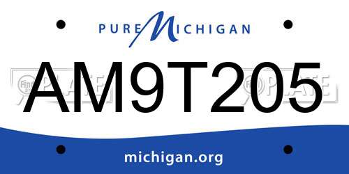 AM9T205 Michigan License Plate