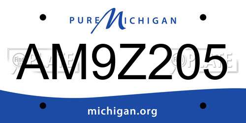 AM9Z205 Michigan License Plate