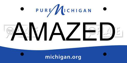 AMAZED Michigan License Plate