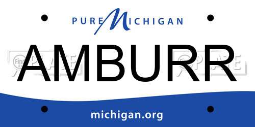 AMBURR Michigan License Plate
