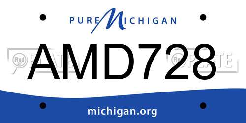 AMD728 Michigan License Plate