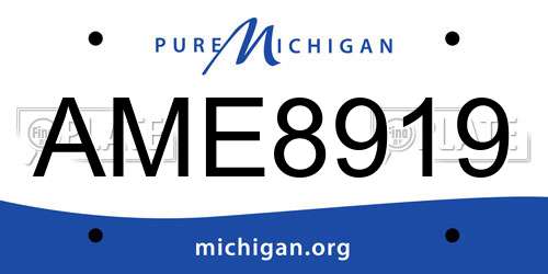 AME8919 Michigan License Plate