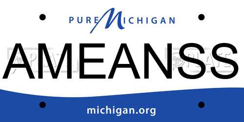 AMEANSS Michigan License Plate
