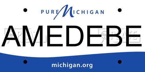 AMEDEBE Michigan License Plate