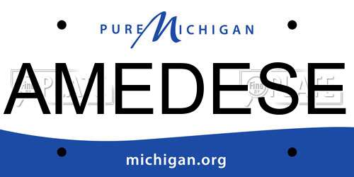 AMEDESE Michigan License Plate