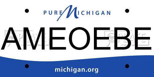 AMEOEBE Michigan License Plate