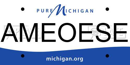 AMEOESE Michigan License Plate