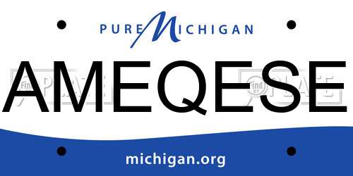 AMEQESE Michigan License Plate