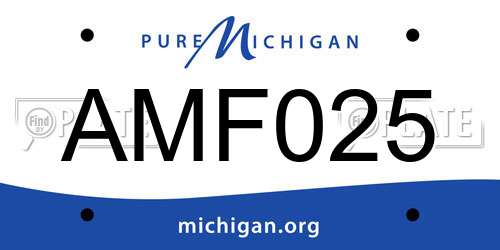 AMF025 Michigan License Plate