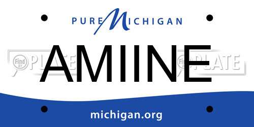 AMIINE Michigan License Plate