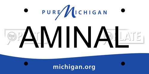 AMINAL Michigan License Plate
