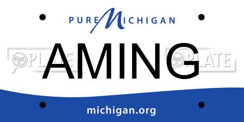 AMING Michigan License Plate