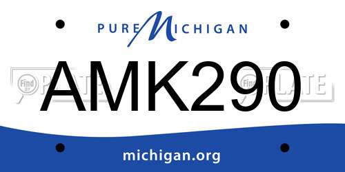 AMK290 Michigan License Plate