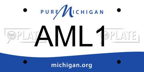 AML1 Michigan License Plate