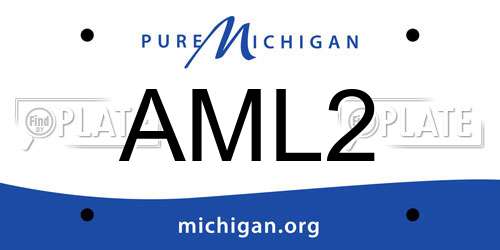 AML2 Michigan License Plate