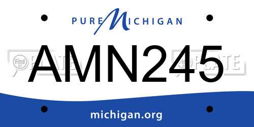 AMN245 Michigan License Plate