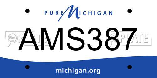 AMS387 Michigan License Plate