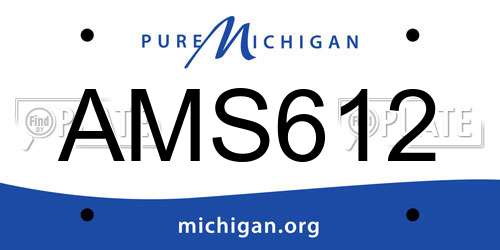 AMS612 Michigan License Plate
