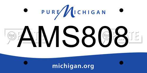 AMS808 Michigan License Plate