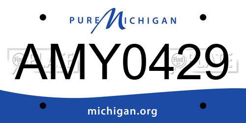 AMY0429 Michigan License Plate