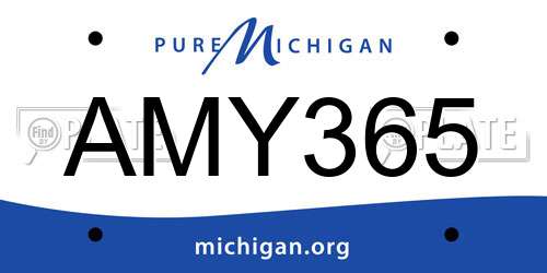 AMY365 Michigan License Plate