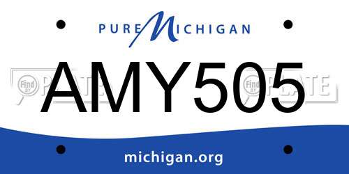 AMY505 Michigan License Plate